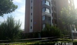 东营最新爆料,揭秘城市新动向与未来发展规划