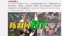 新乡出轨爆料事件最新,真相与争议交织的舆论漩涡