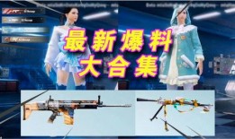 吃鸡新角色爆料大全最新,爆料大全深度解析
